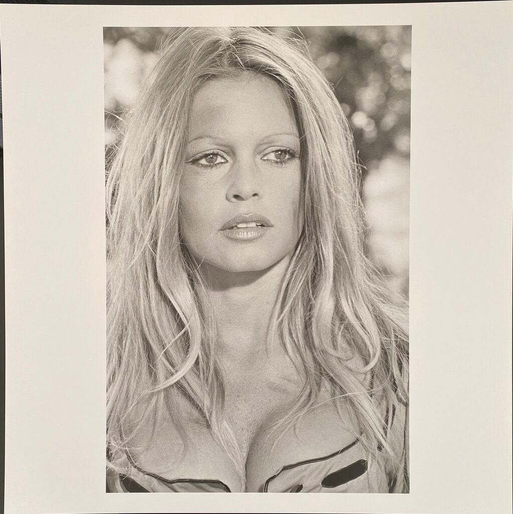 Brigitte Bardot by Léonard de Raemy, 2015