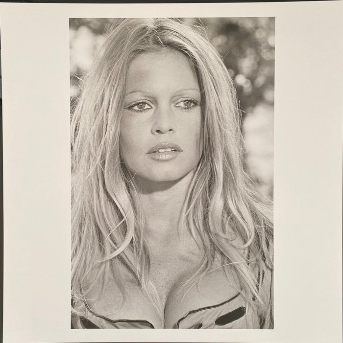 Brigitte Bardot by Léonard de Raemy, 2015