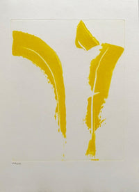 Hommage à Édith Boissonnas d'Olivier Debré, 1970