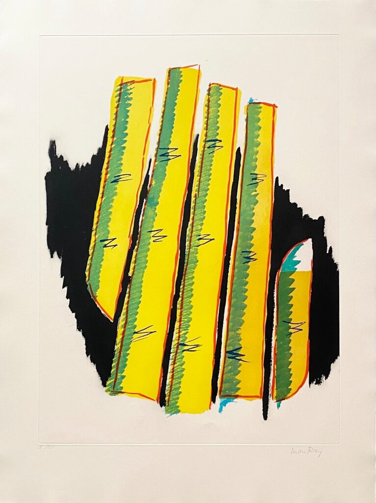 Transfiguration d'un cactus by Man Ray, 1971