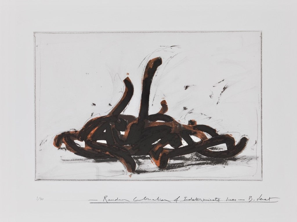 Random Combination of Indeterminate Lines de Bernar Venet, 2019