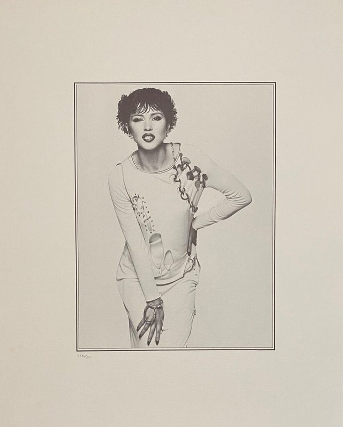 The Fashion Collection de John Swannell, vers 1986