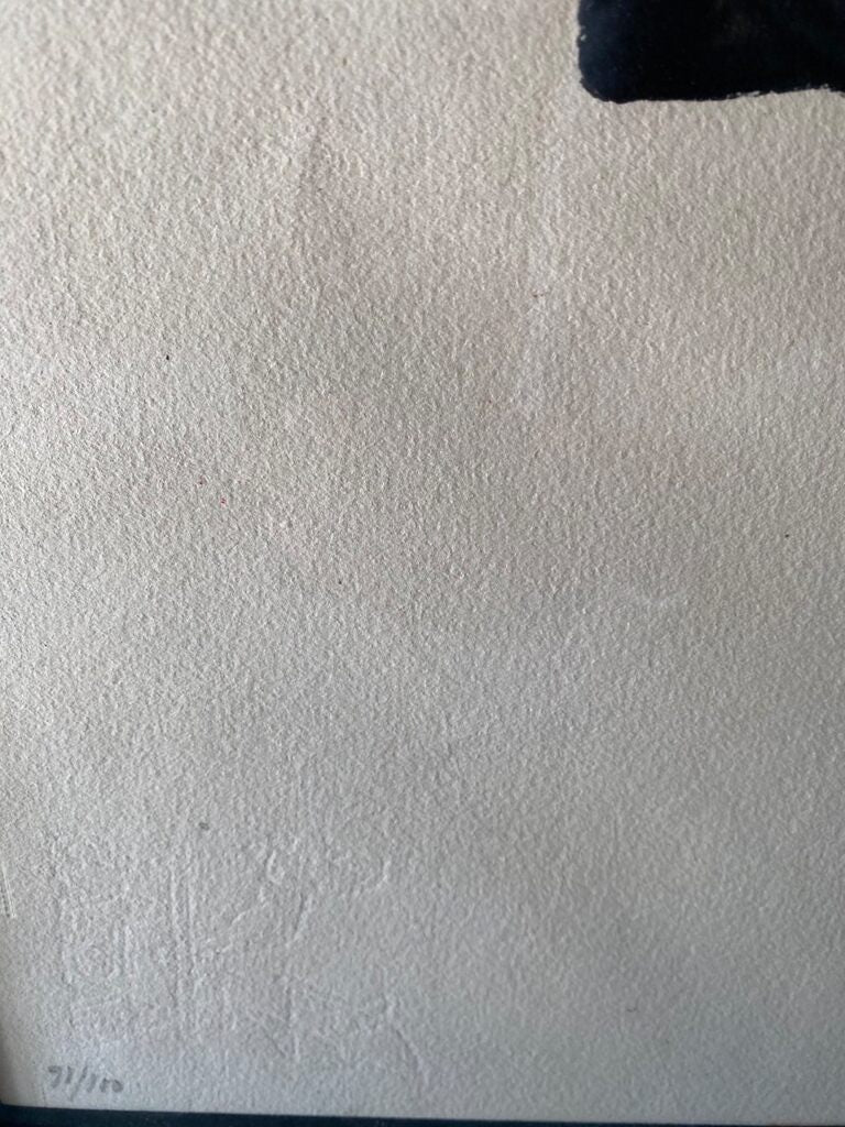 Als Mestres de Catalunya d'Antoni Tàpies, 1974 (vue 3)