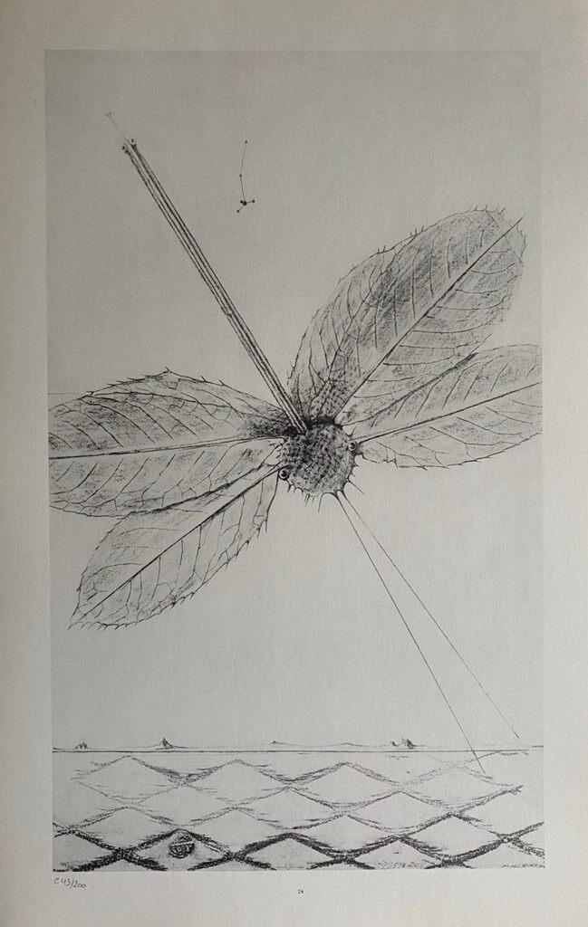 Teenage Lightning (Les Éclairs au-dessous de quatorze ans) de Max Ernst, 1972