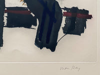 Transfiguration d'un cactus by Man Ray, 1971 (view 2)