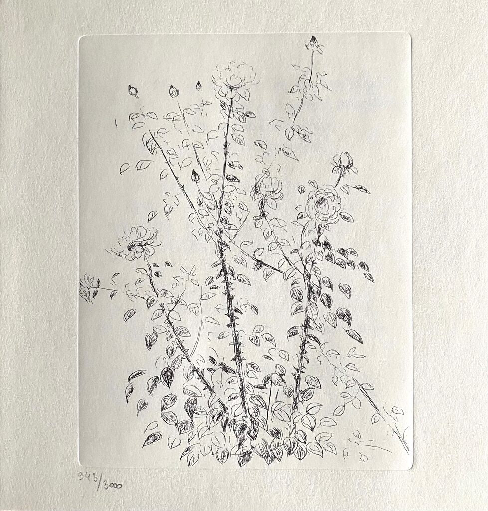 Rosier by André Dunoyer de Segonzac, 1969