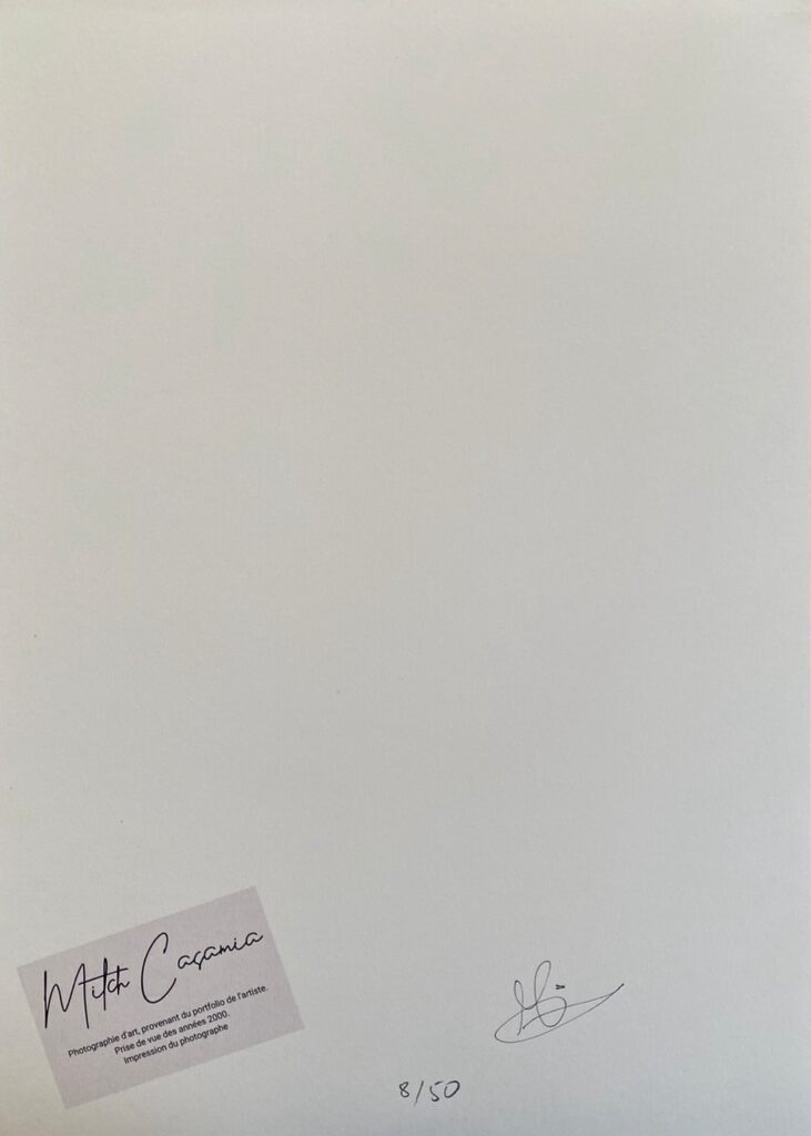 Miley Cyrus by Mitch Casamia, c. 2020 (view 2)