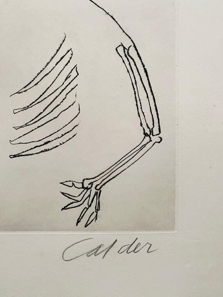 Santa Claus I d'Alexander Calder, 1974 (vue 4)