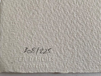 Tithonos de Georges Braque, 1971 (vue 2)
