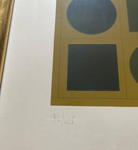 Sorbonne de Victor Vasarely, 1973 (vue 3)