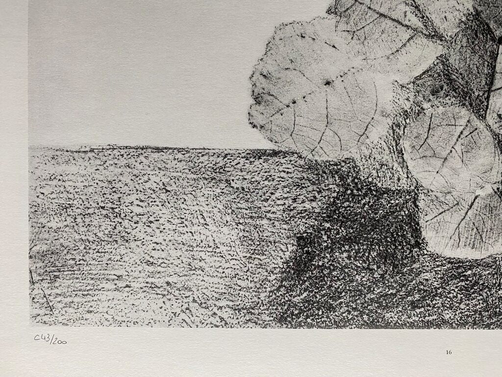 The Lime Tree Is Docile (Le Tilleul est docile) de Max Ernst, 1972 (vue 2)