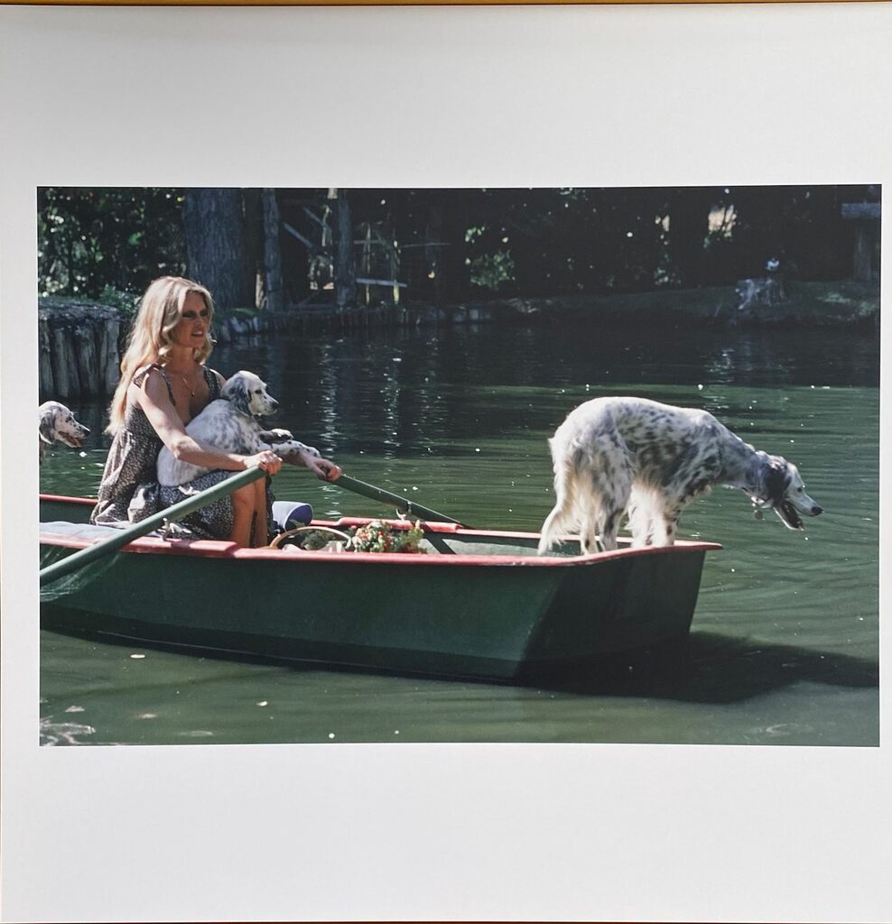 Brigitte Bardot by Léonard de Raemy, 2015