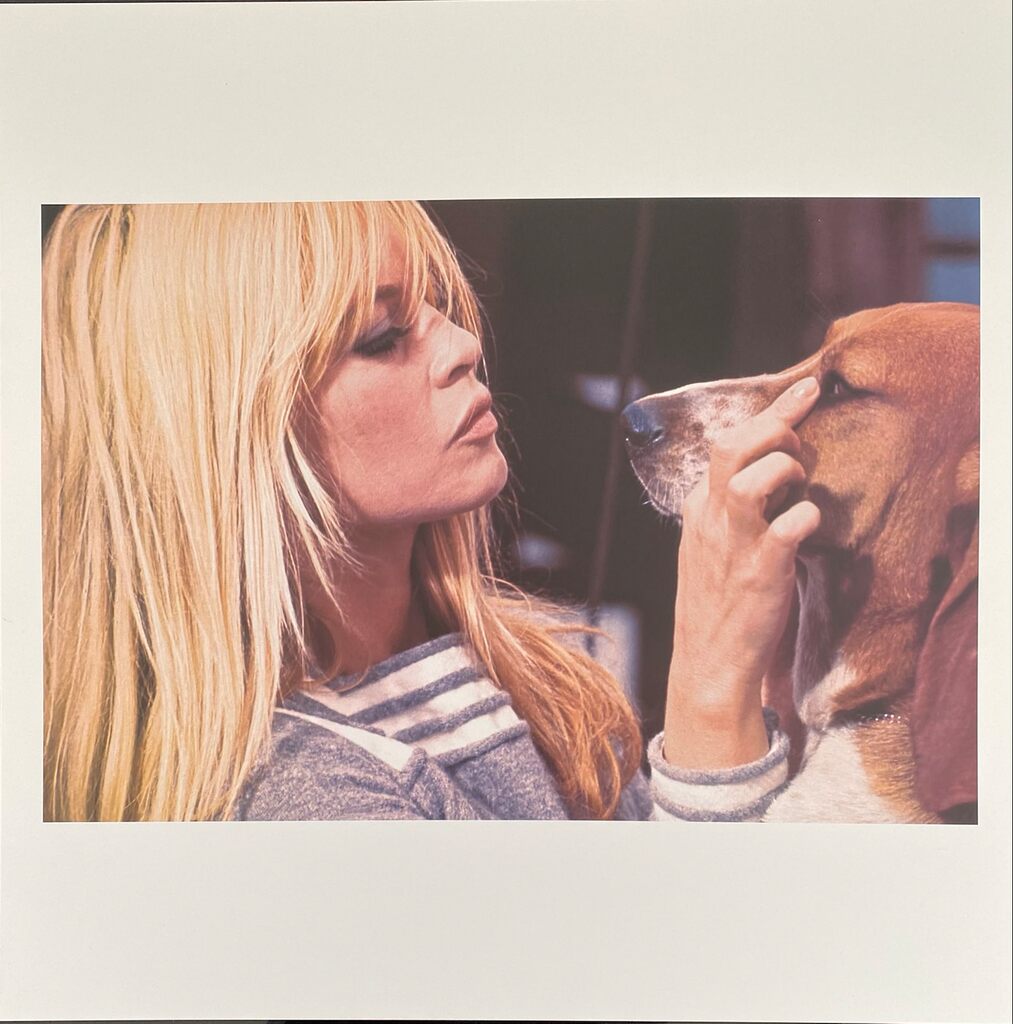 Brigitte Bardot by Léonard de Raemy, 2015