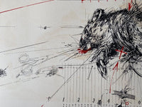 Expérience / Rat n°20 by Vladimir Velickovic, 1974 (view 3)