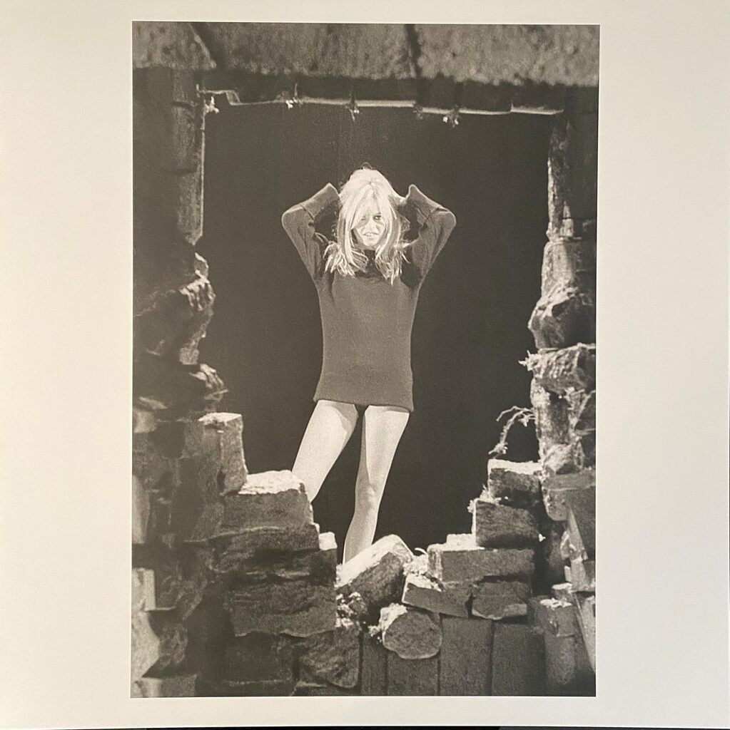 Brigitte Bardot by Léonard de Raemy, 2015
