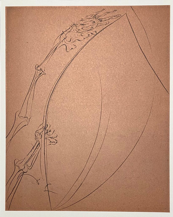 The Rod (Brown) de Salvador Dalí, 1974