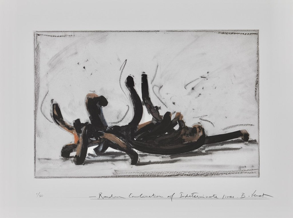 Random Combination of Indeterminate Lines by Bernar Venet, 2019