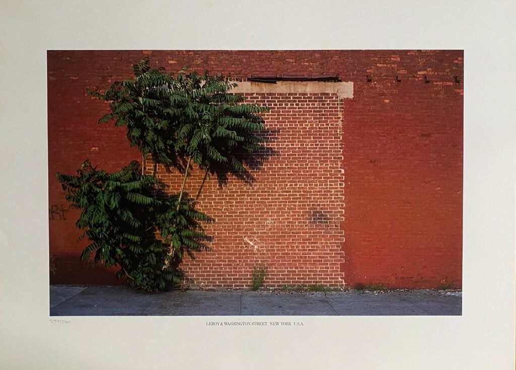Leroy & Washington Street, New York, USA de Barry Lategan, 1981