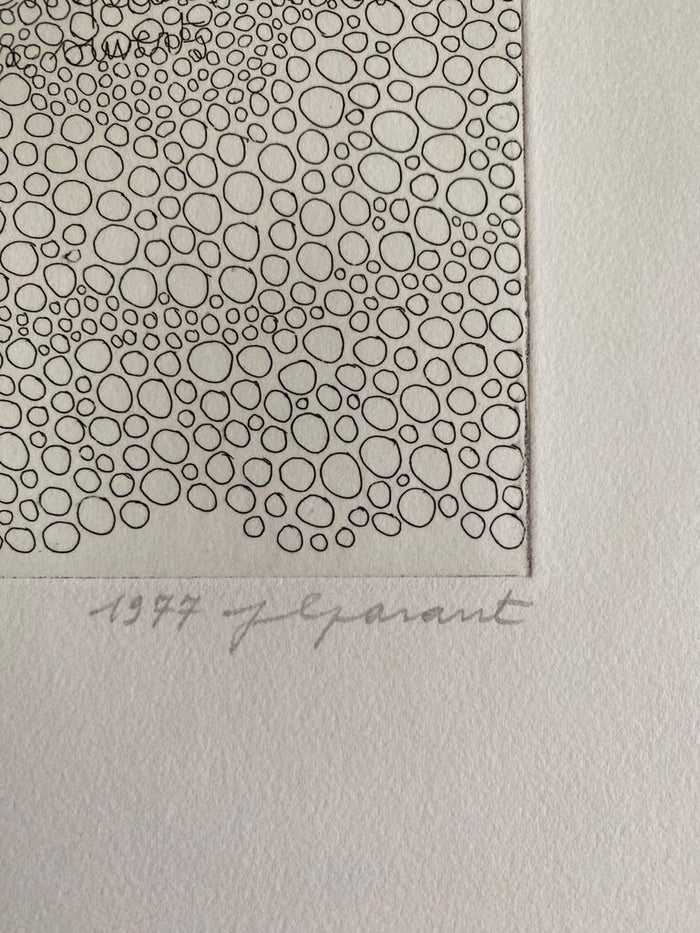 1288 petites boules les yeux ouverts by Jean Luc Parant, 1977 (view 2)