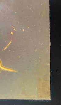 Picador de Salvador Dalí, 1983 (vue 4)