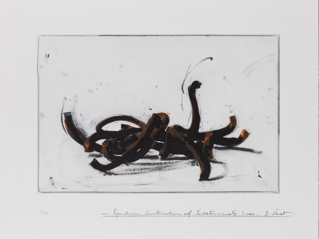 Random Combination of Indeterminate Lines by Bernar Venet, 2019