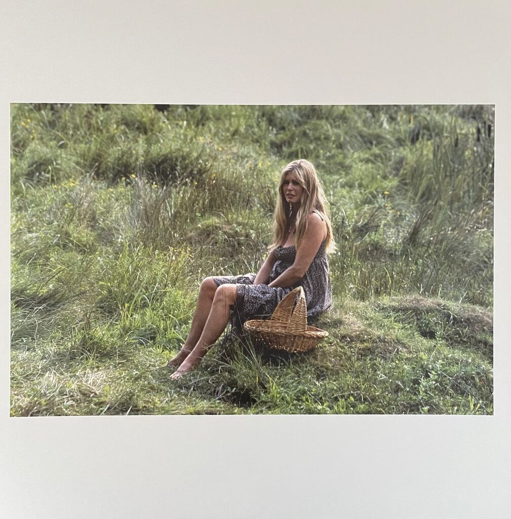 Brigitte Bardot by Léonard de Raemy, 2015