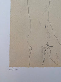 Standing Male Nude d'Egon Schiele, 2007 (vue 2)