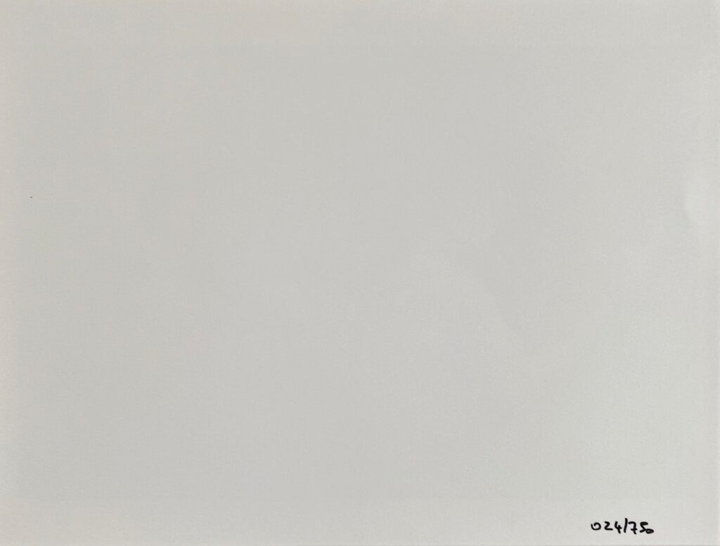 “Venus in Furs” November 1965 at 450 Grand Street, NYC d'Adam Ritchie, 2016 (vue 2)