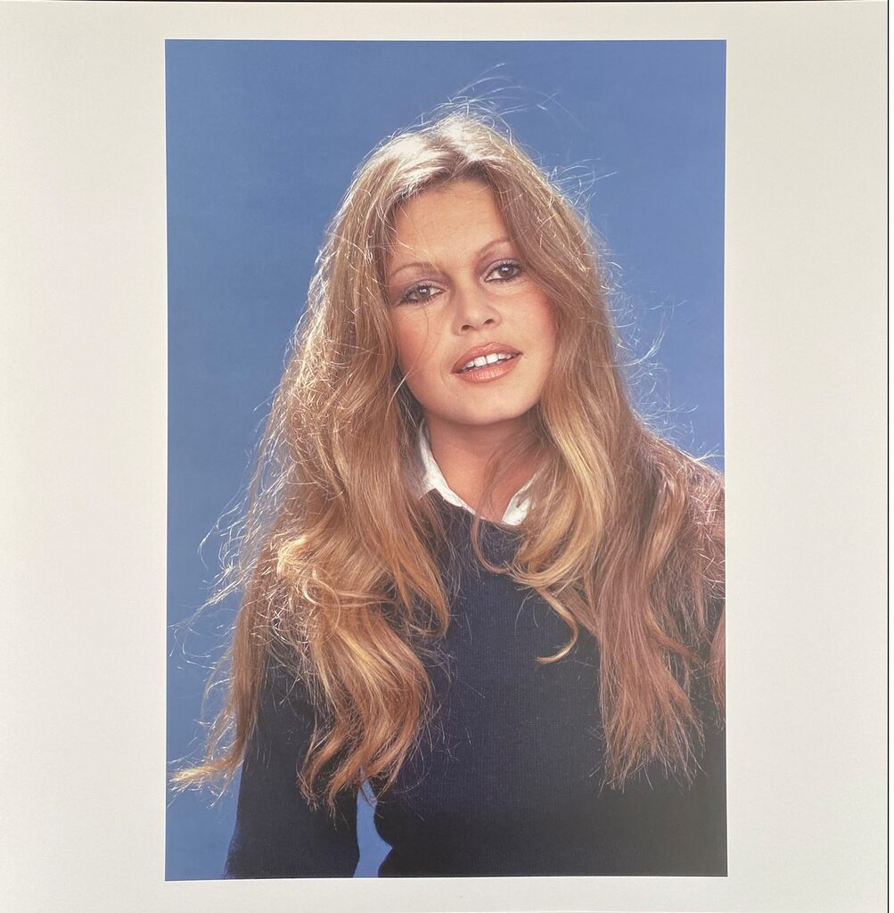 Brigitte Bardot by Léonard de Raemy, 2015