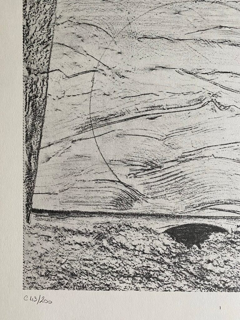 The Sea and Rain (La Mer et la pluie) by Max Ernst, 1972 (view 2)