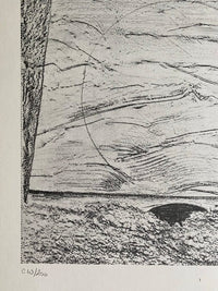 The Sea and Rain (La Mer et la pluie) by Max Ernst, 1972 (view 2)