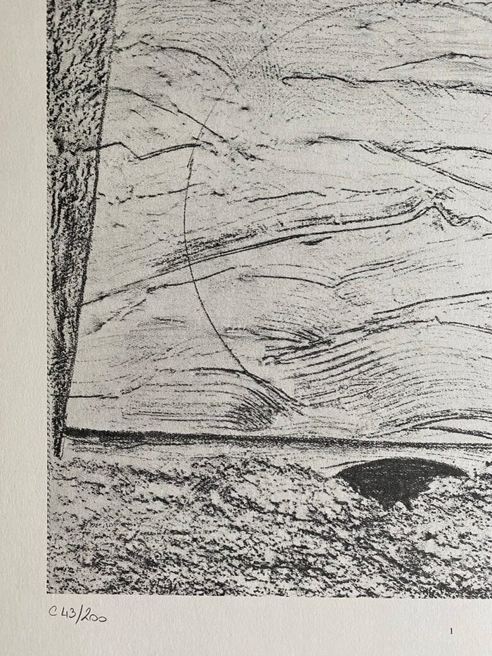 The Sea and Rain (La Mer et la pluie) de Max Ernst, 1972 (vue 2)