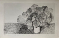 The Lime Tree Is Docile (Le Tilleul est docile) de Max Ernst, 1972