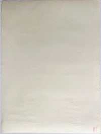 Follow Your Dreams by Mr. Brainwash, 2012 (view 5)