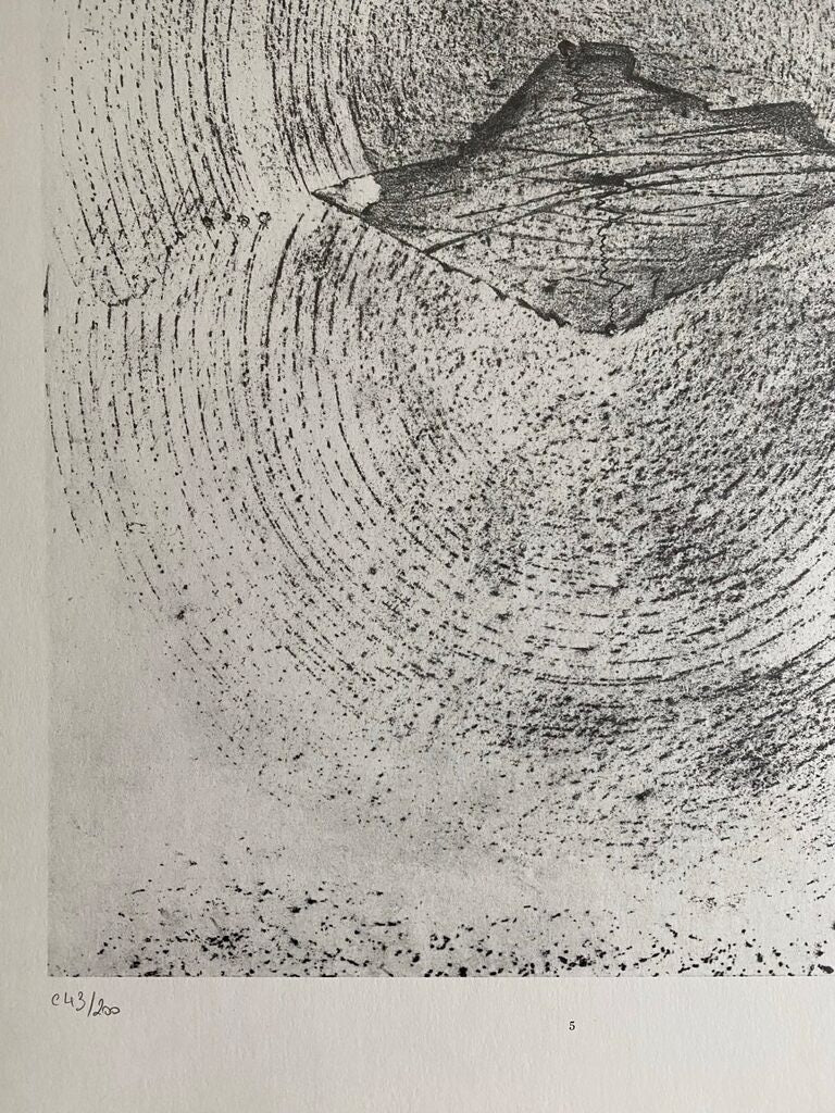 Earthquake (Le Tremblement de terre) de Max Ernst, 1972 (vue 2)