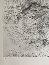 Earthquake (Le Tremblement de terre) de Max Ernst, 1972 (vue 2)