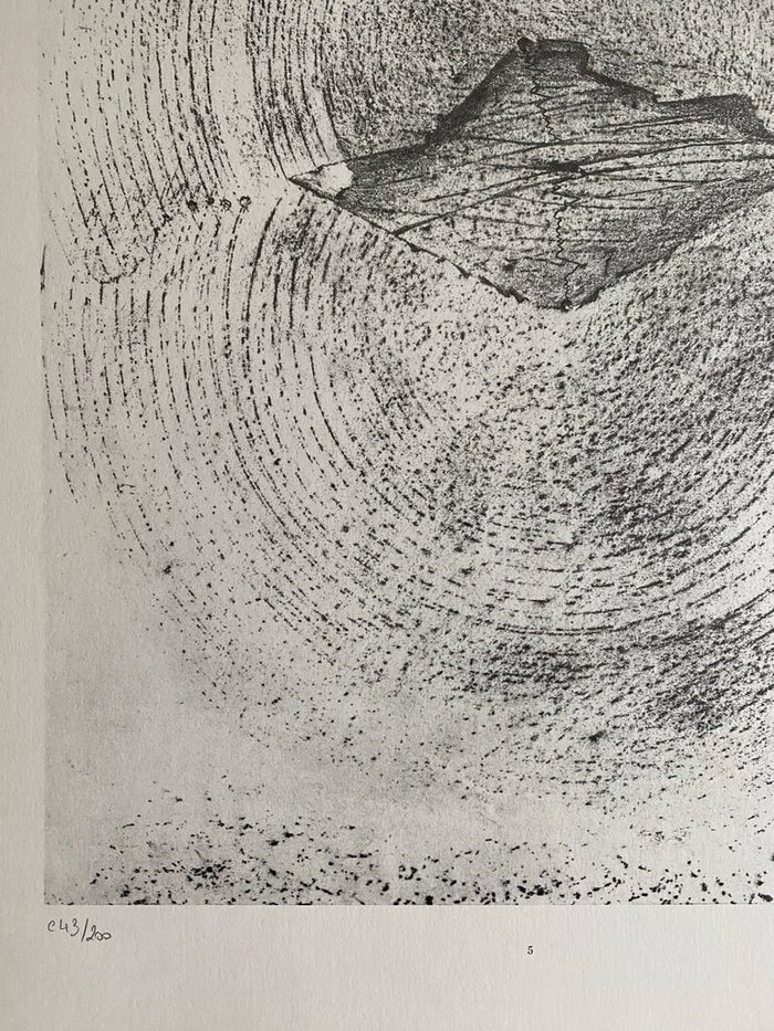 Earthquake (Le Tremblement de terre) de Max Ernst, 1972 (vue 2)