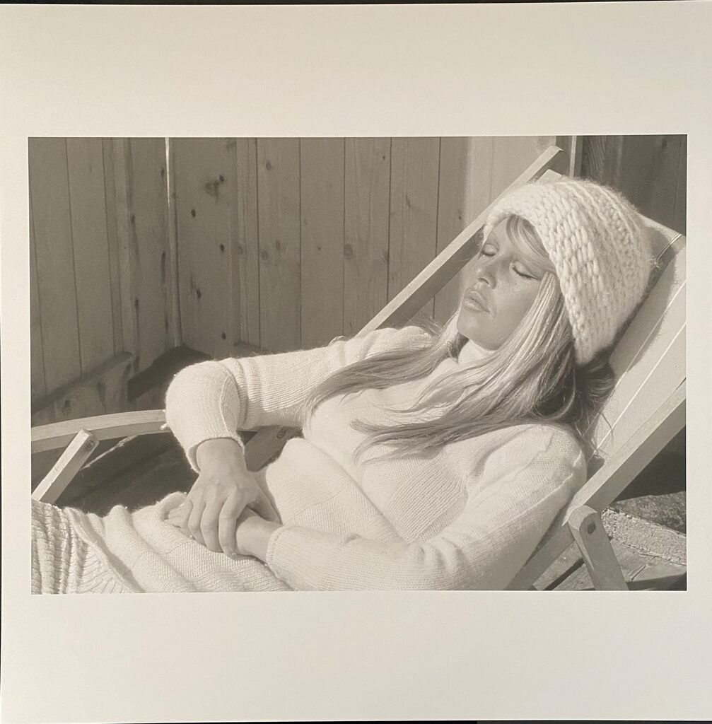 Brigitte Bardot by Léonard de Raemy, 2015 (view 2)
