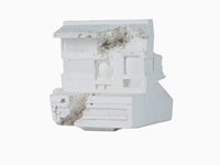 Future Relic 06 (Polaroid) de Daniel Arsham, 2016