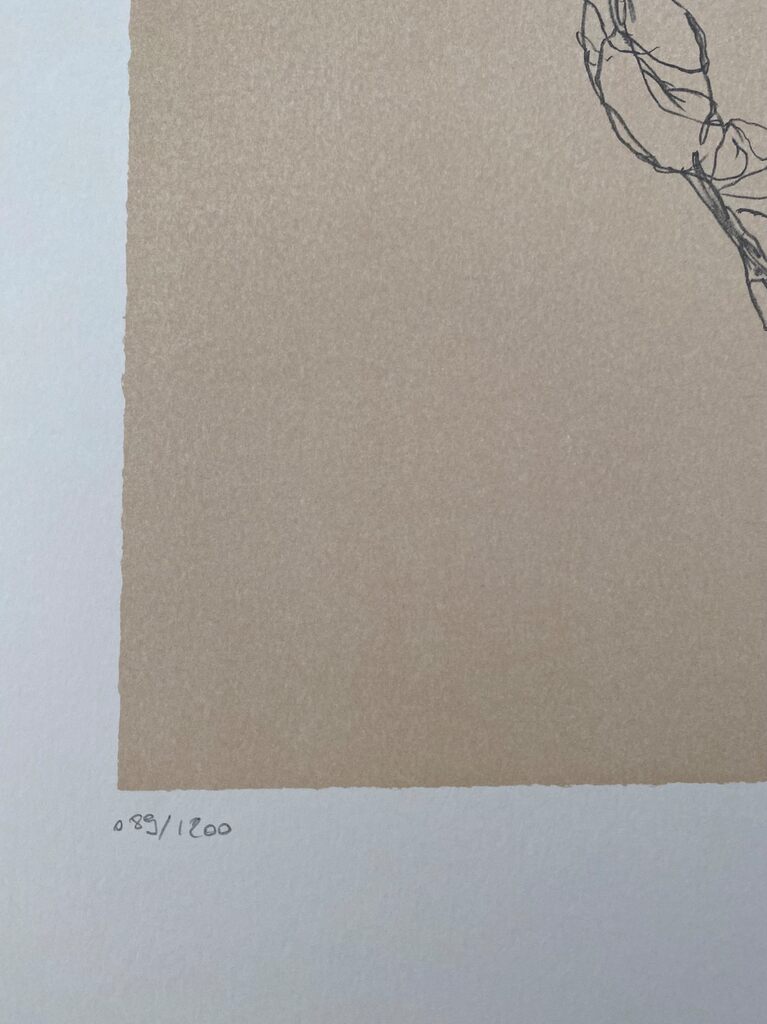 Reclining Nude, Left Leg Raised d'Egon Schiele, 2007 (vue 3)