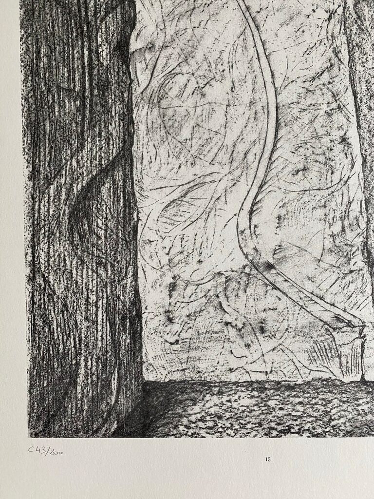Scars (Les Cicatrices) de Max Ernst, 1972 (vue 2)