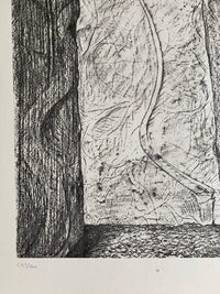 Scars (Les Cicatrices) de Max Ernst, 1972 (vue 2)