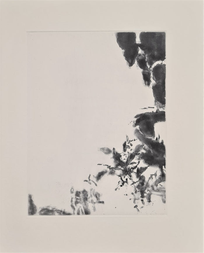 XXIV Sonnets de Shakespeare by Zao Wou-Ki 趙無極, 1994