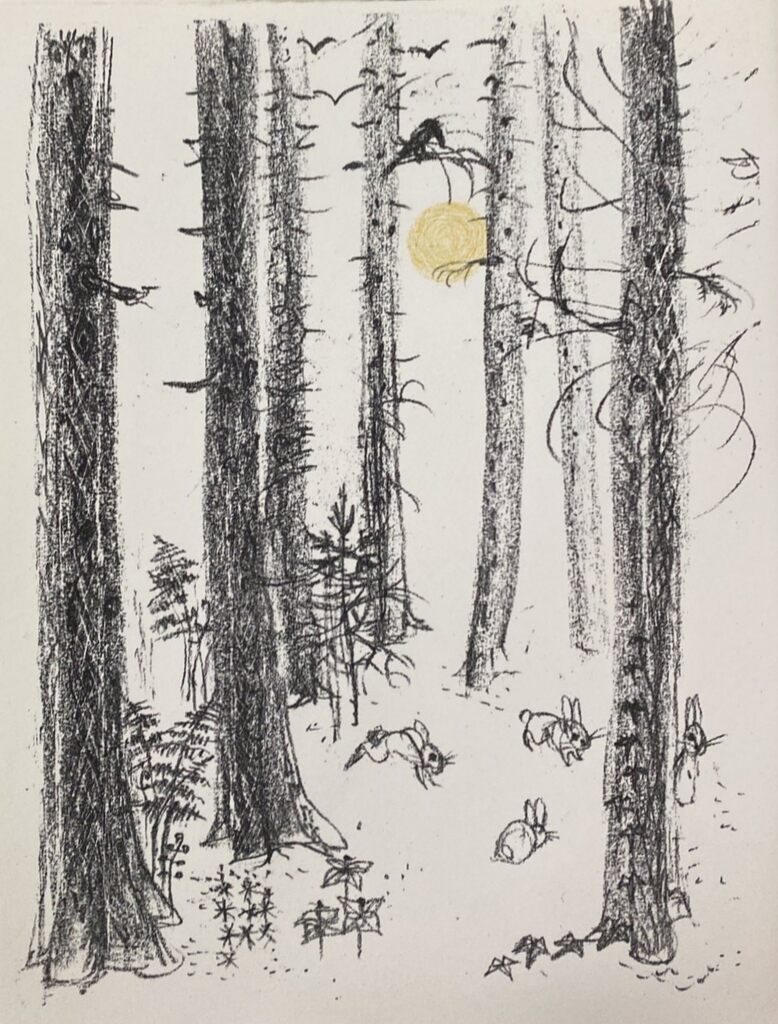Lapins dans la fôret de Hans Fischer ("Fis"), 1960