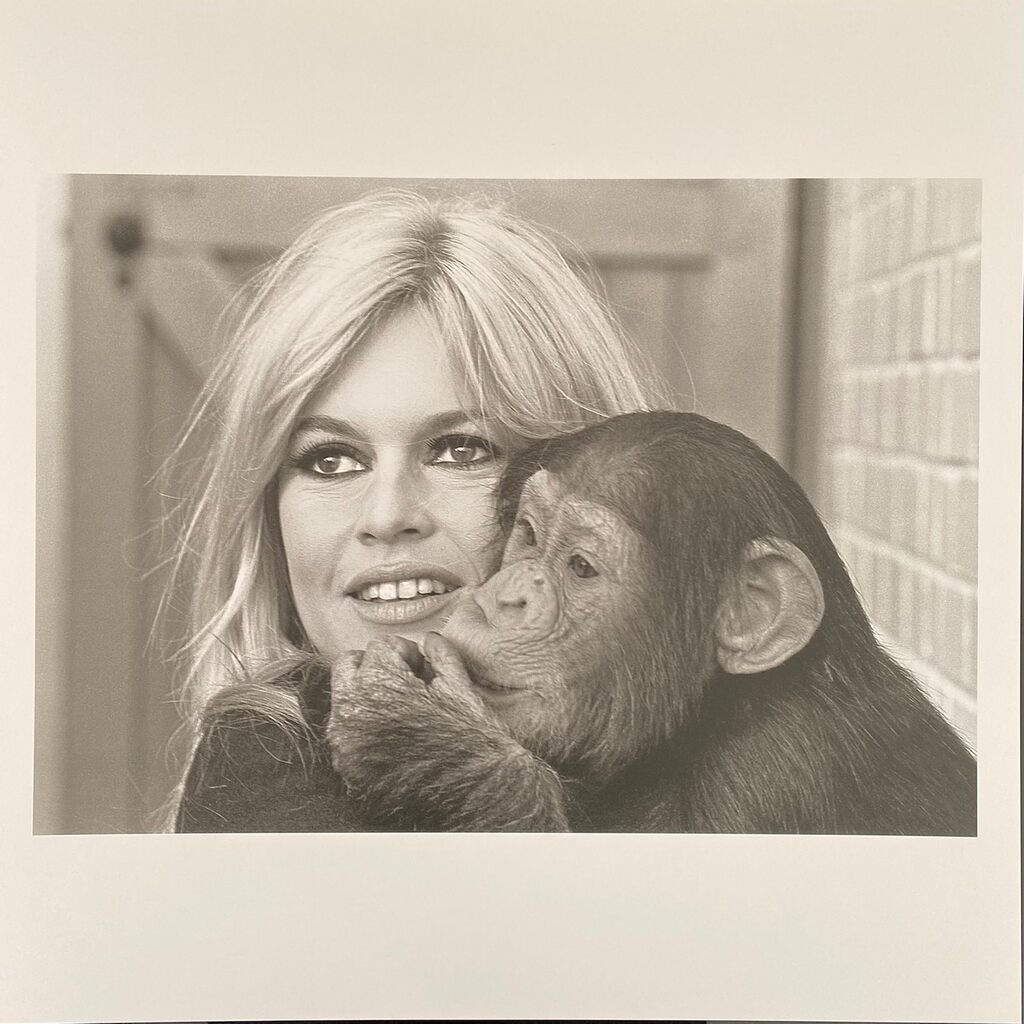 Brigitte Bardot by Léonard de Raemy, 2015