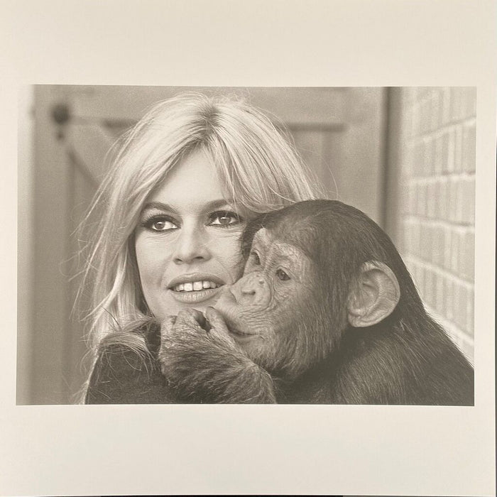 Brigitte Bardot by Léonard de Raemy, 2015