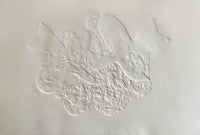 Pélias et Nélée de Georges Braque, 1971 (vue 4)