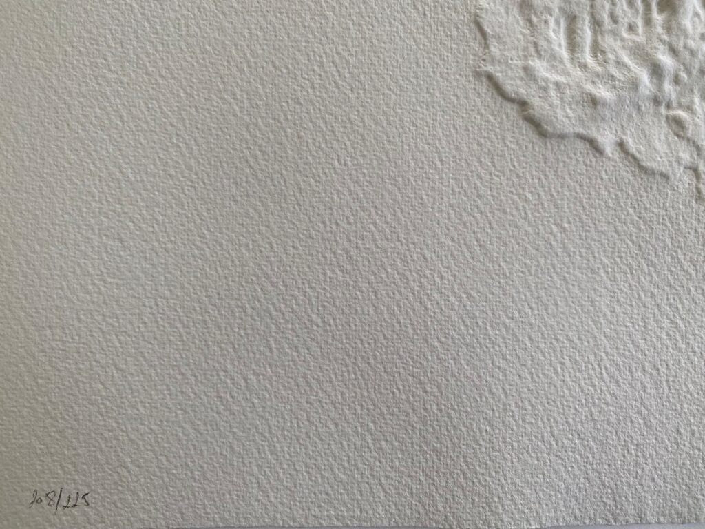 Pélias et Nélée de Georges Braque, 1971 (vue 3)