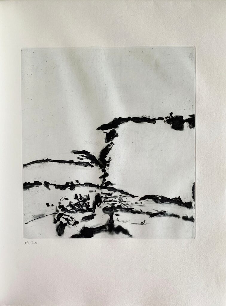 L'évidence de la nuit III de Zao Wou-Ki 趙無極, 1991