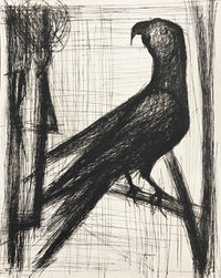 Le perroquet de Bernard Buffet, 1958